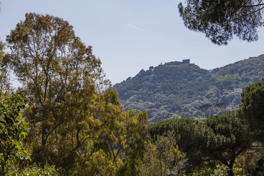 B&B La Contessa Salerno Buitenkant foto